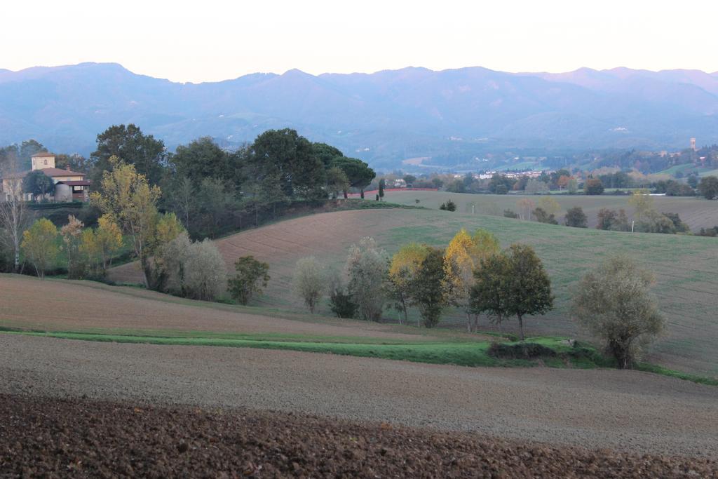 Intorno Firenze B&B San Piero a Sieve Dış mekan fotoğraf